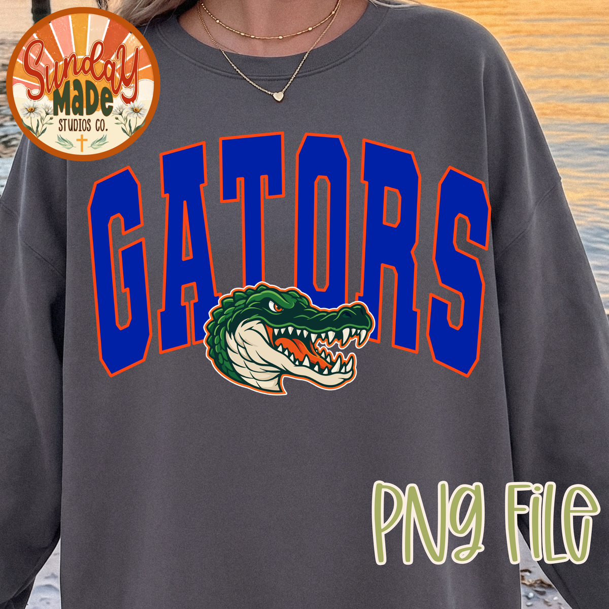 Vintage Gators PNG | Blue & Orange Gator Mascot Design
