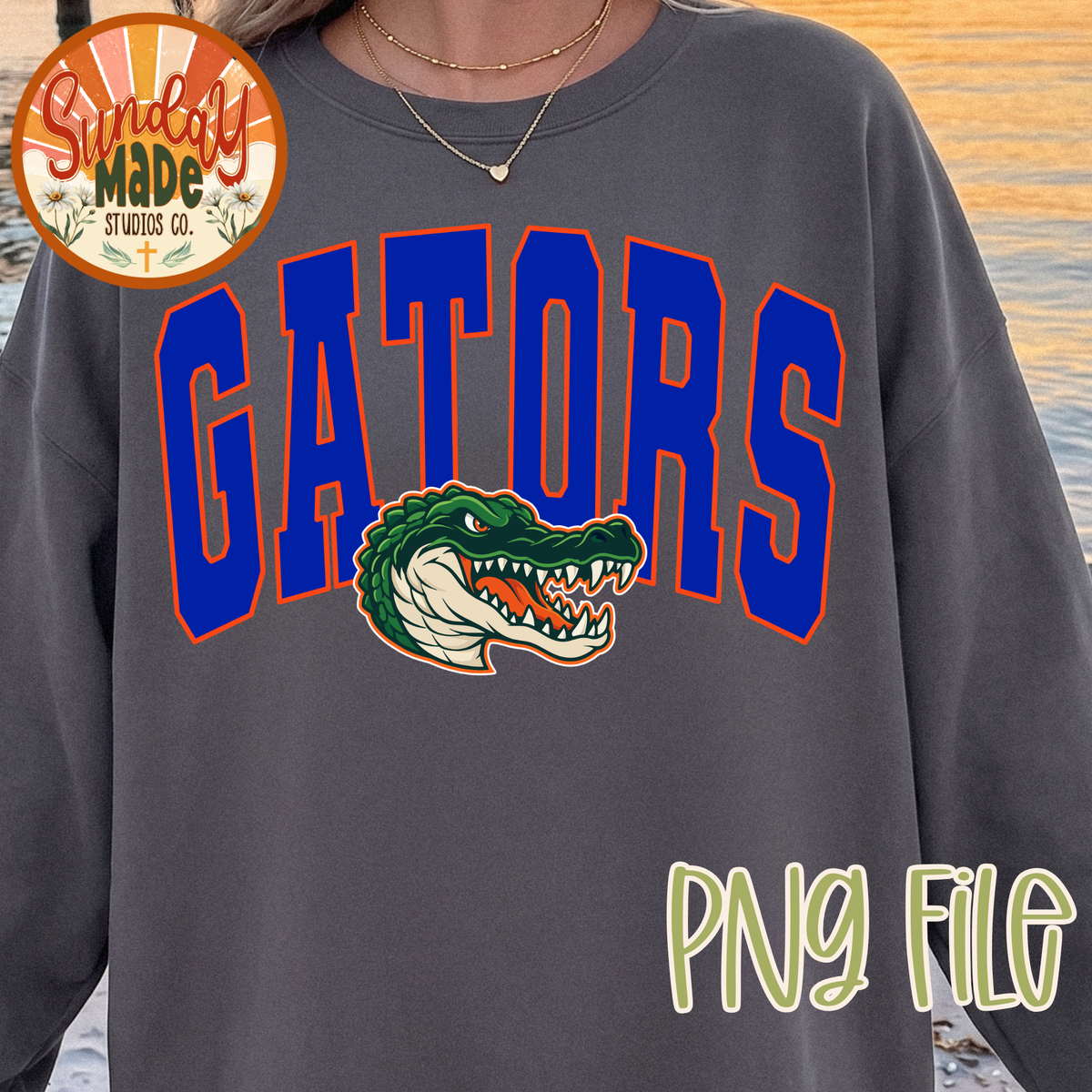 Vintage Gators PNG | Blue & Orange Gator Mascot Design